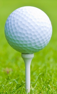 golf_ball_on_tee 1